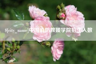 神农架中国消防救援学院招生人数