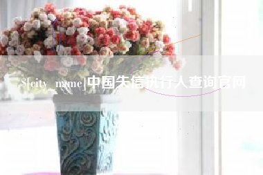 神农架中国失信执行人查询官网