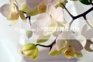 神农架119消防日哪年开始