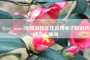 神农架中国消防在线官网电子版消防证怎么查询