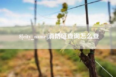 神农架消防证查询怎么查