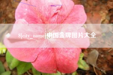 神农架中国金牌图片大全