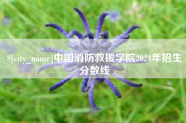 神农架中国消防救援学院2024年招生分数线