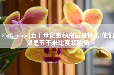 神农架五千米比赛领跑员是什么-他们就是五千米比赛领跑员
