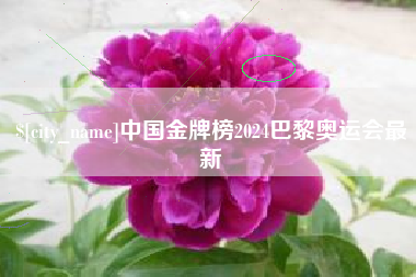 神农架中国金牌榜2024巴黎奥运会最新