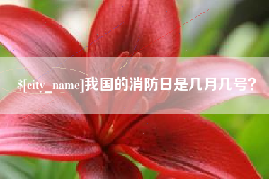 神农架我国的消防日是几月几号？