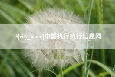 神农架中国执行执行信息网