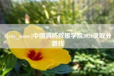 神农架中国消防救援学院2021录取分数线