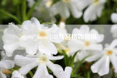 神农架579九宫格如何排
