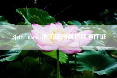 神农架消防证国网查询操作证