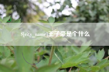神农架王子豪是个什么