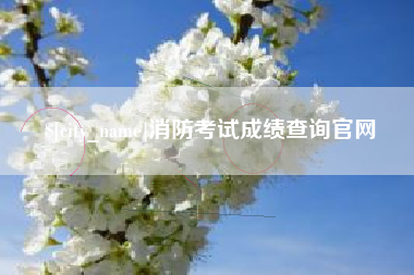神农架消防考试成绩查询官网