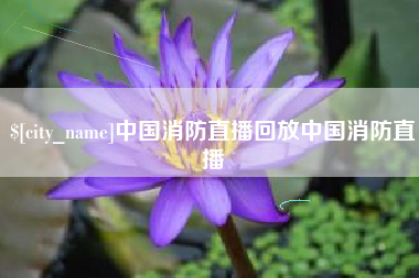 神农架中国消防直播回放中国消防直播