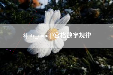神农架9宫格数字规律