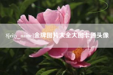 神农架金牌图片大全大图卡通头像