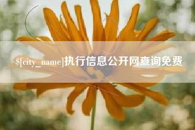 神农架执行信息公开网查询免费